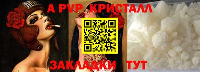 индика Кандалакша