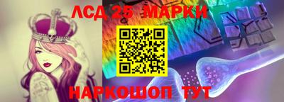 индика Кандалакша