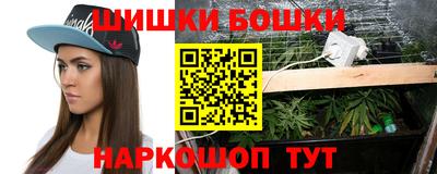 индика Кандалакша
