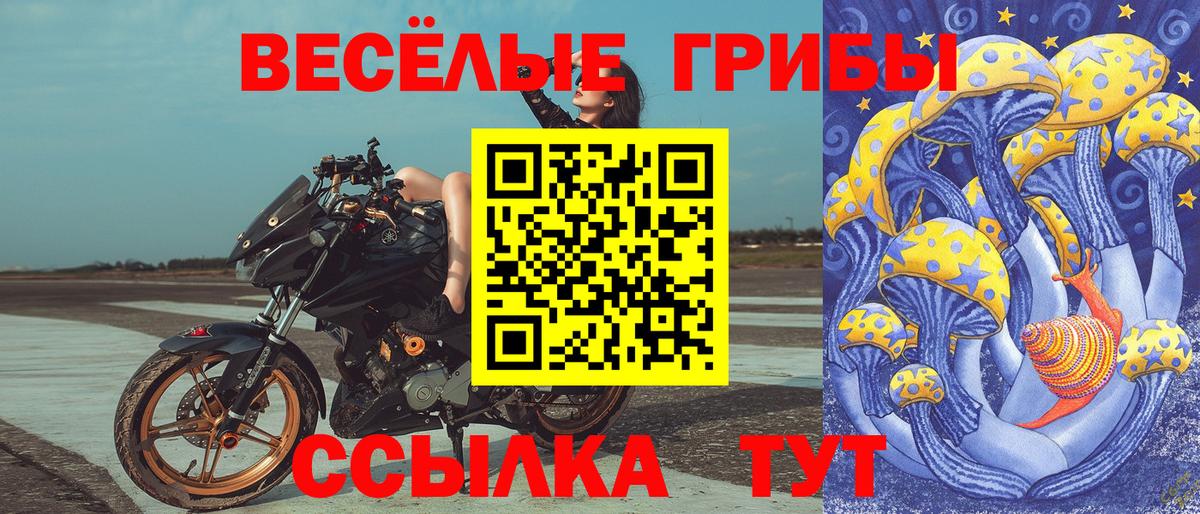 Галлюциногенные грибы Psilocybine cubensis Красный Сулин