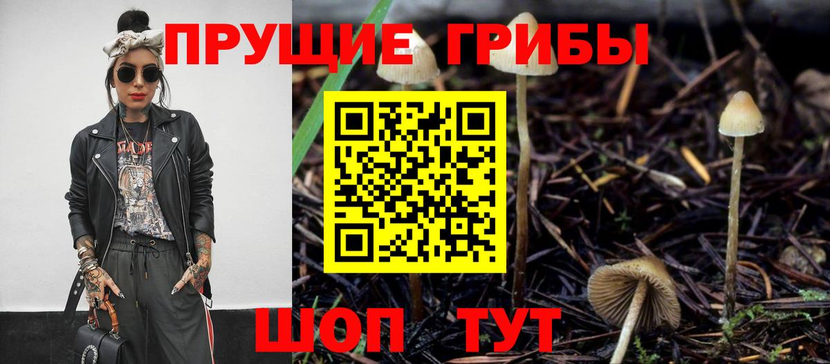 Красный Сулин  Псилоцибиновые грибы Magic Shrooms  Вход с VPN 